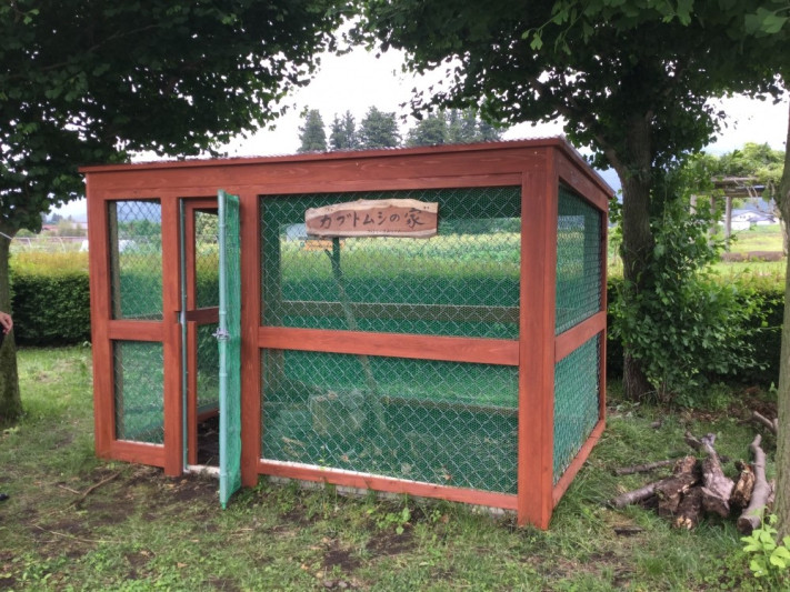 カブトムシ小屋完成!！】 | 群馬 水上 たくみの里 温泉大浴場 ホテル