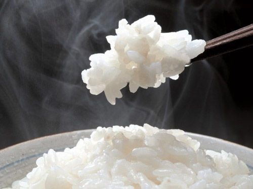 ●たかはたで一番おいしいお米を朝食にご提供