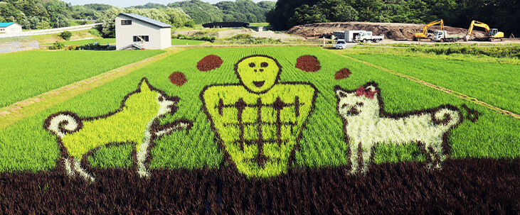 Rice Paddy Art Along Akita Nairiku Line